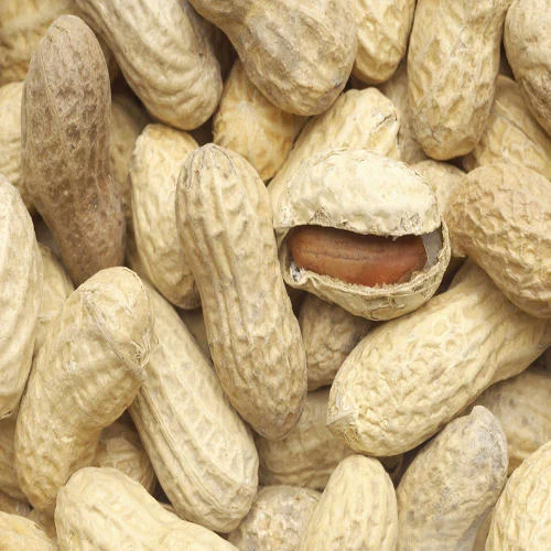 Peanut