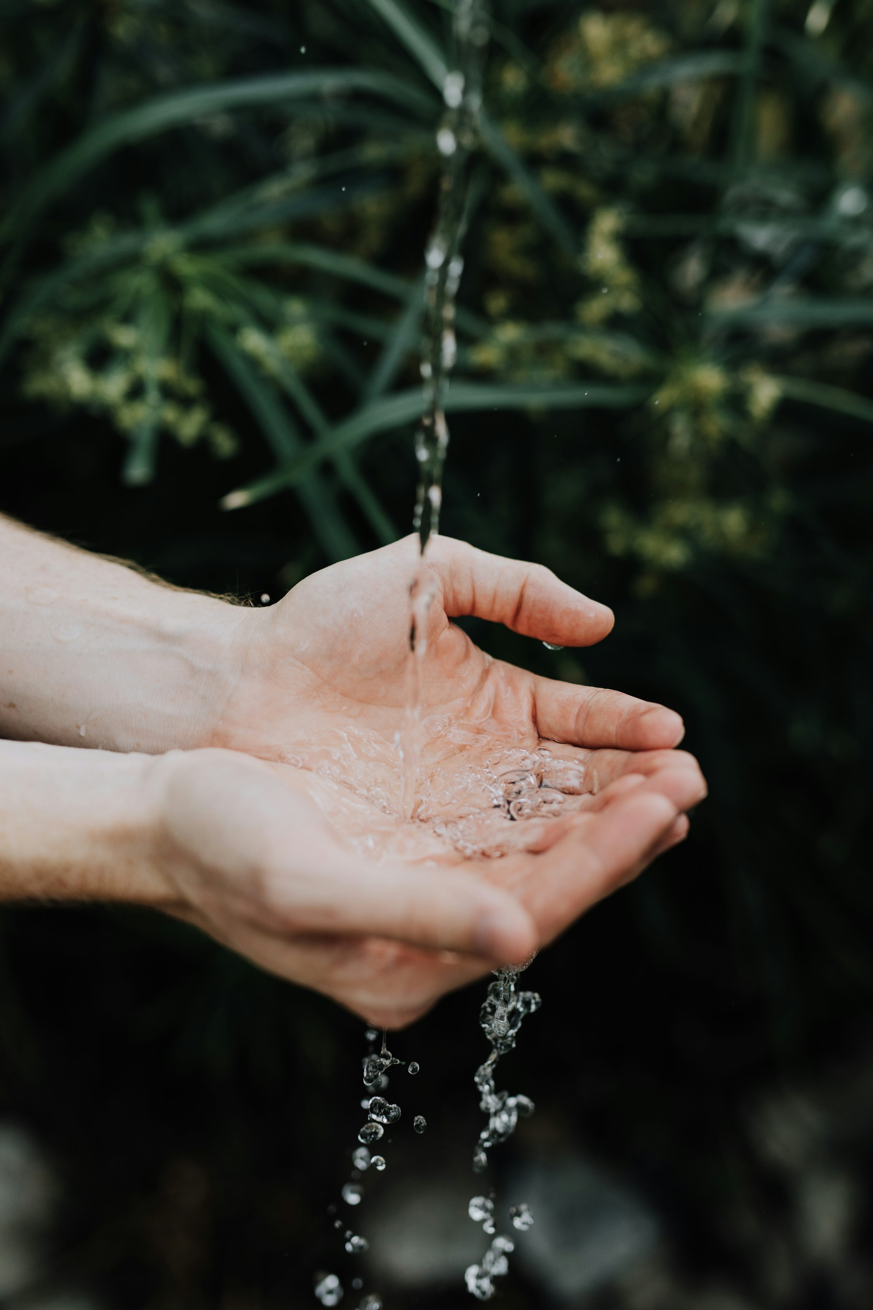 Plastic-Free Campaign